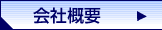 ЊTv